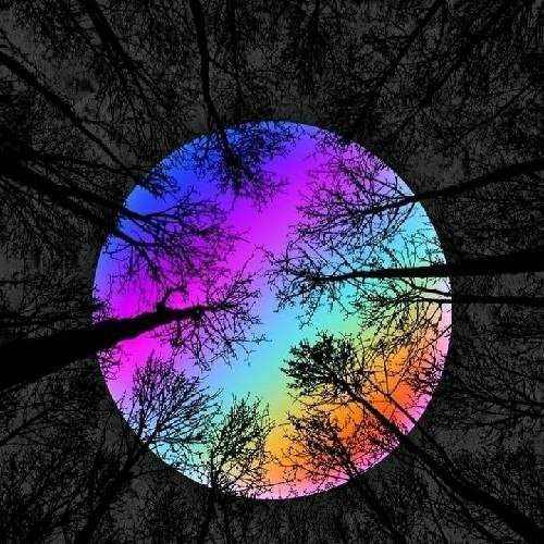 دنیا و کیمیا  مثل یه بارون اروم اومدی نشستی توی قلب بی قرارم